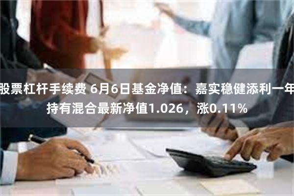 股票杠杆手续费 6月6日基金净值：嘉实稳健添利一年持有混合最新净值1.026，涨0.11%