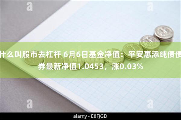 什么叫股市去杠杆 6月6日基金净值：平安惠添纯债债券最新净值1.0453，涨0.03%