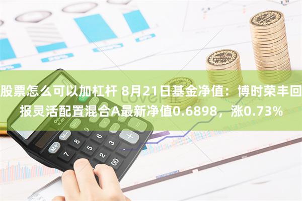 股票怎么可以加杠杆 8月21日基金净值：博时荣丰回报灵活配置混合A最新净值0.6898，涨0.73%