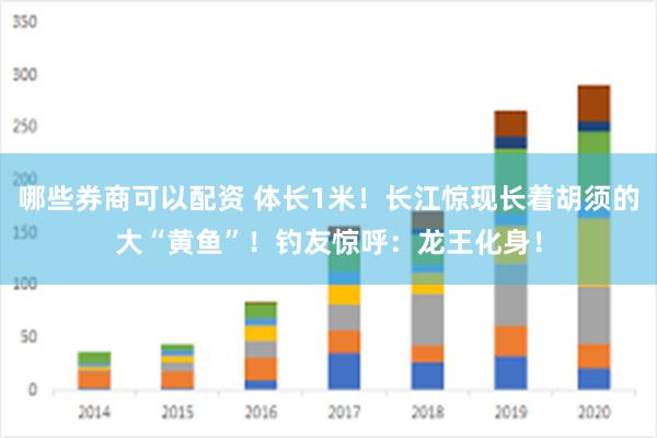 哪些券商可以配资 体长1米！长江惊现长着胡须的大“黄鱼”！钓友惊呼：龙王化身！