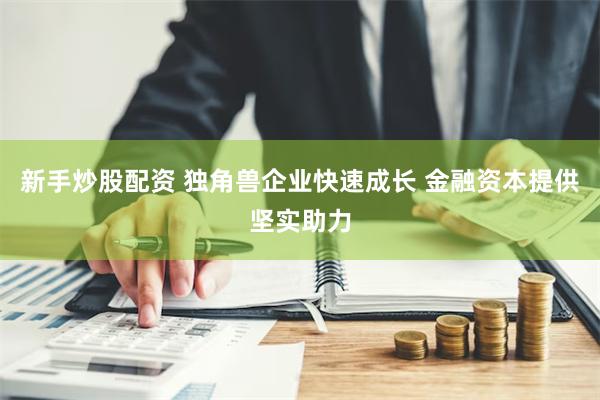 新手炒股配资 独角兽企业快速成长 金融资本提供坚实助力