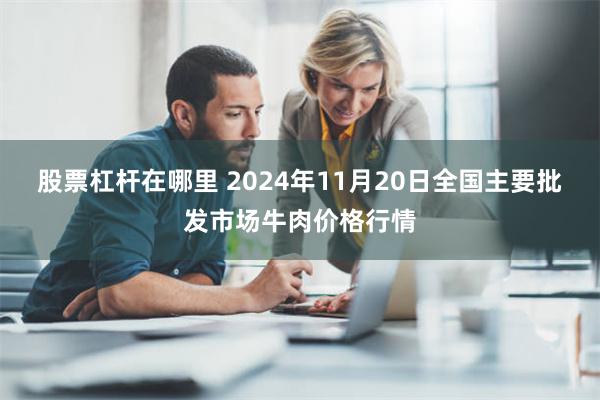 股票杠杆在哪里 2024年11月20日全国主要批发市场牛肉价格行情