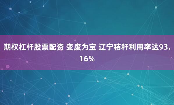 期权杠杆股票配资 变废为宝 辽宁秸秆利用率达93.16%