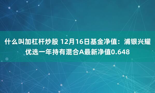 什么叫加杠杆炒股 12月16日基金净值：浦银兴耀优选一年持有混合A最新净值0.648