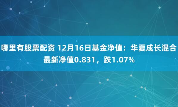 哪里有股票配资 12月16日基金净值：华夏成长混合最新净值0.831，跌1.07%