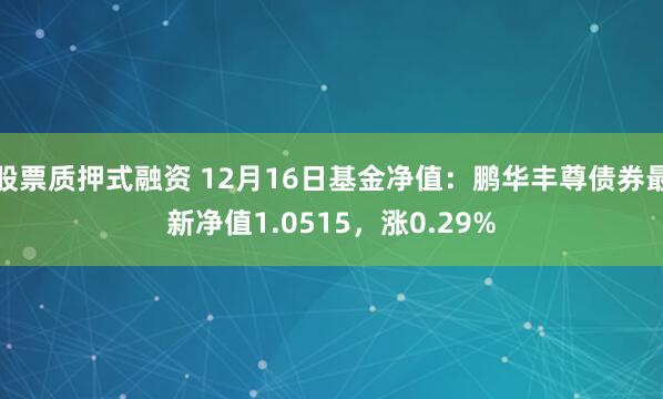 股票质押式融资 12月16日基金净值：鹏华丰尊债券最新净值1.0515，涨0.29%