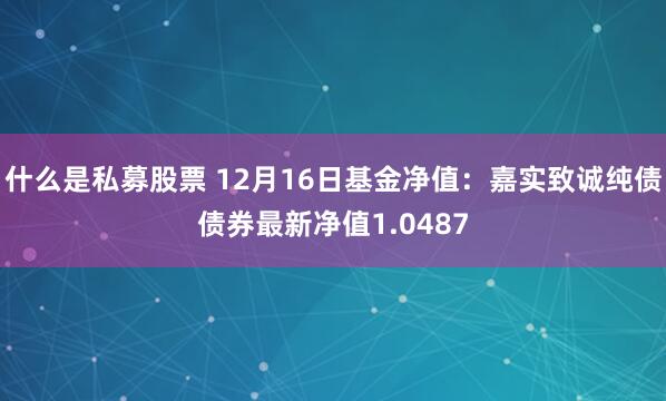 什么是私募股票 12月16日基金净值：嘉实致诚纯债债券最新净值1.0487