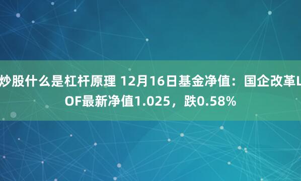 炒股什么是杠杆原理 12月16日基金净值：国企改革LOF最新净值1.025，跌0.58%