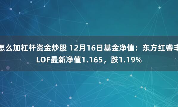 怎么加杠杆资金炒股 12月16日基金净值：东方红睿丰LOF最新净值1.165，跌1.19%