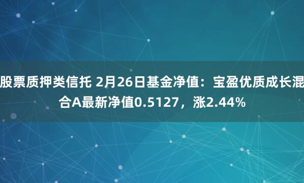 股票质押类信托 2月26日基金净值：宝盈优质成长混合A最新净值0.5127，涨2.44%