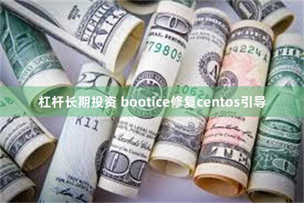 杠杆长期投资 bootice修复centos引导